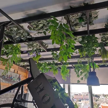 Saltillo Alto Gray Studio. Vistas Al Mar Y Piscina アパート *